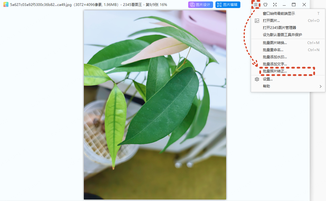 步骤1：图片矫正教程示意