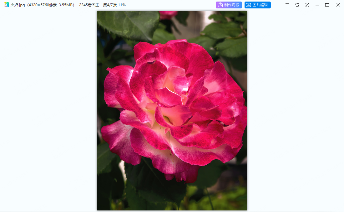 步骤1:图片尺寸调整教程示意